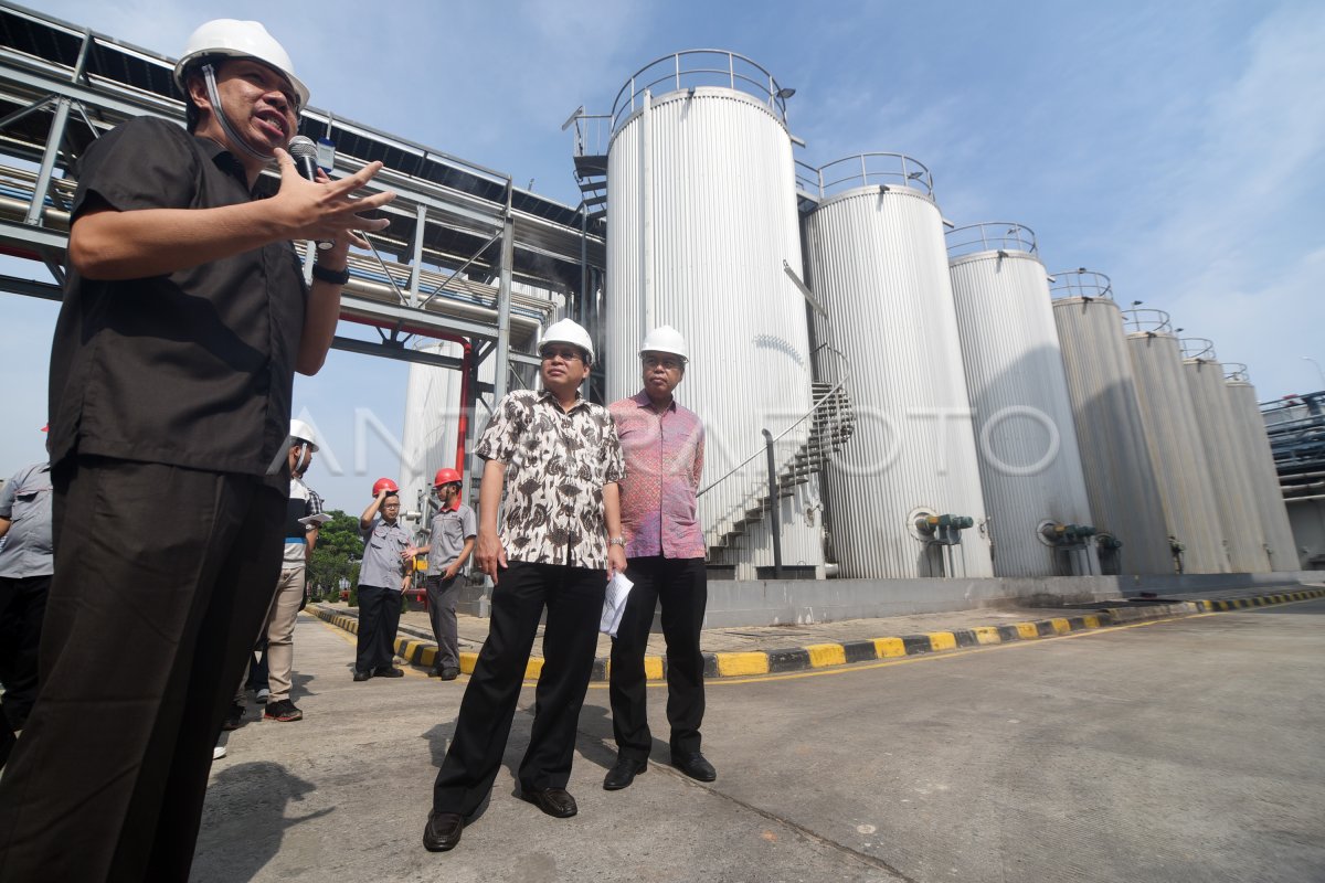 PRODUKSI MINYAK GORENG | ANTARA Foto