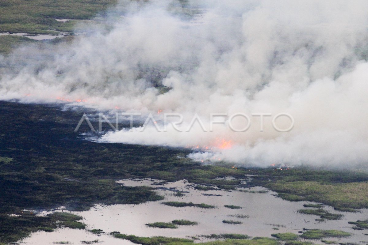 FUEGO DE TIERRA EN EL CIGARRILLO OGAN
