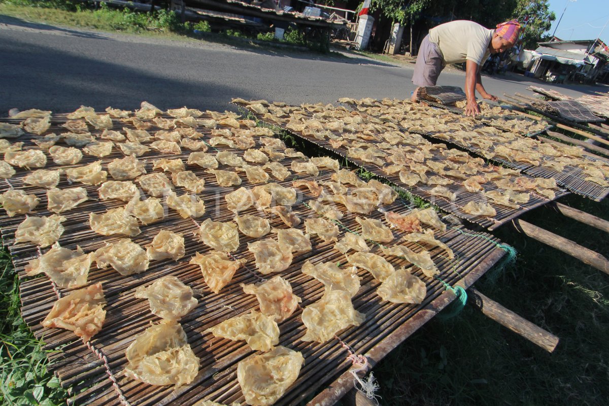 PRODUCTION DE POISSONS SECS AU MILIEU DU PANDEMI