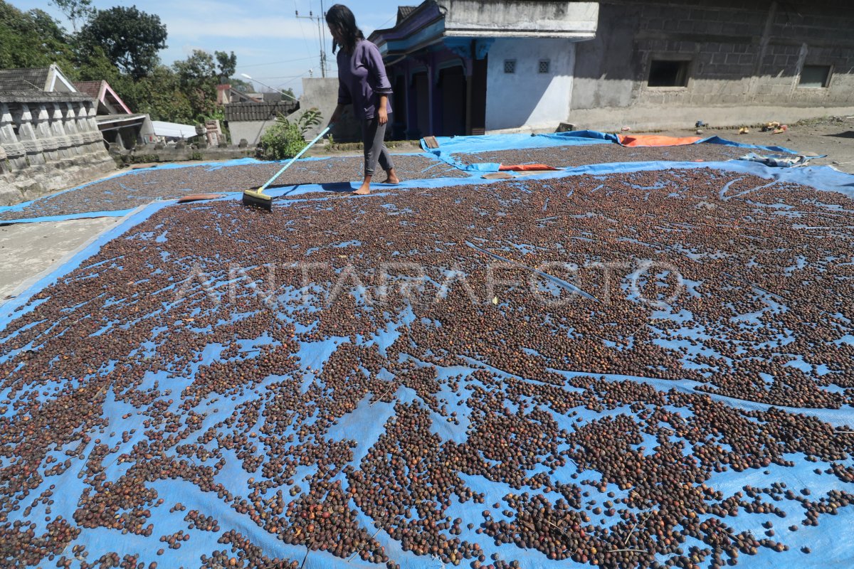 külotkali qizni sikish