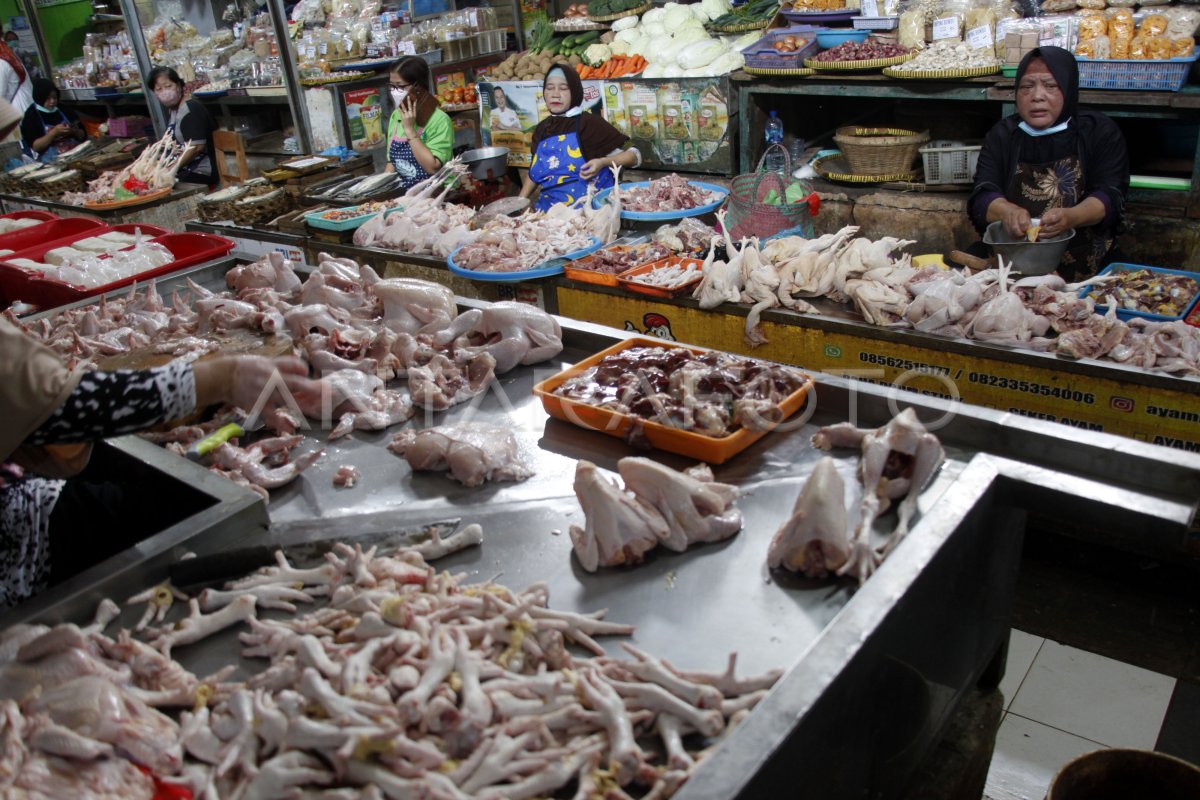 INCREASED CHICKEN MEAT PRICE IN SOLO ANTARA Foto increased-chicken-meat-price-in-solo-antara-foto