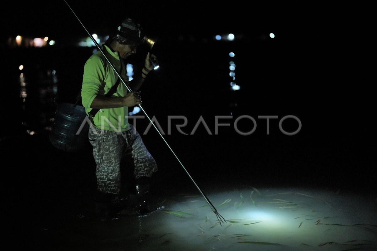 BERBURU KERANG LAUT SAAT AIR SURUT