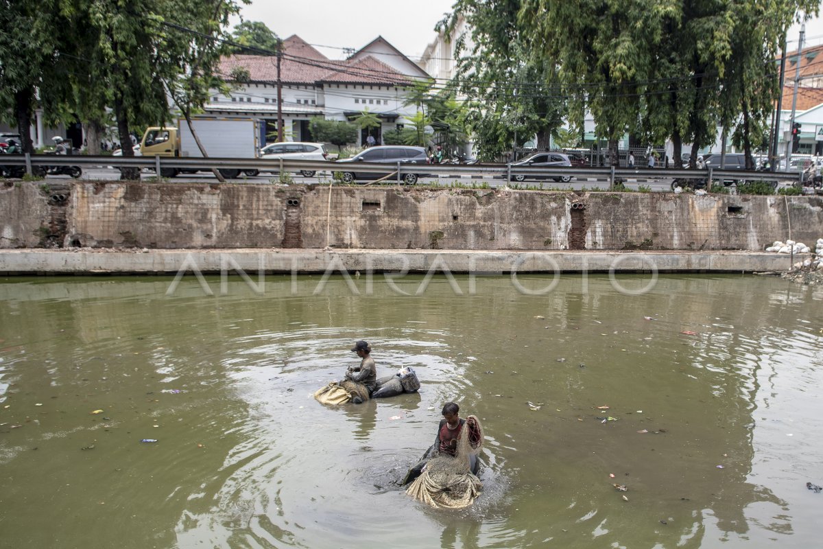 Umpan Ikan Sapu-Sapu di Sungai untuk Keseruan Mancing Liar Umpan Ikan Sapu-Sapu di Sungai untuk Keseruan Mancing Liar