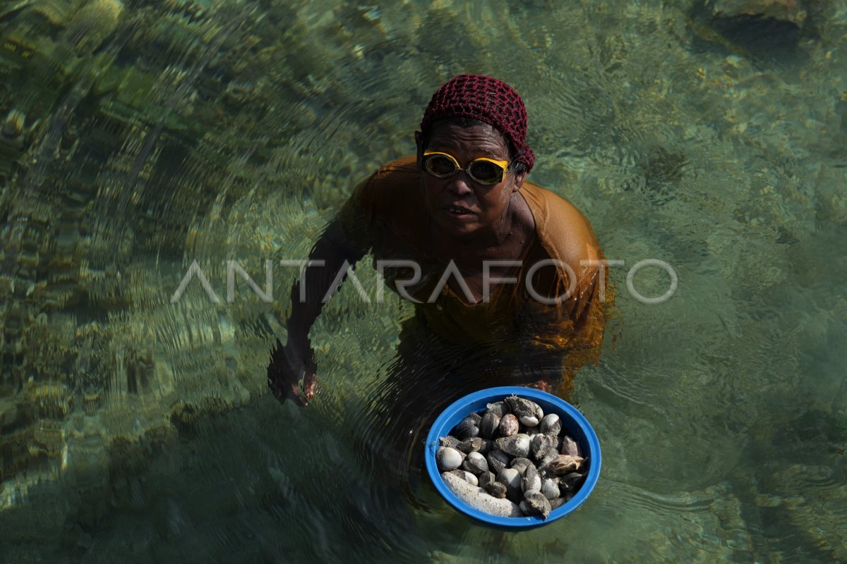 MENCARI KERANG LAUT SAAT AIR SURUT