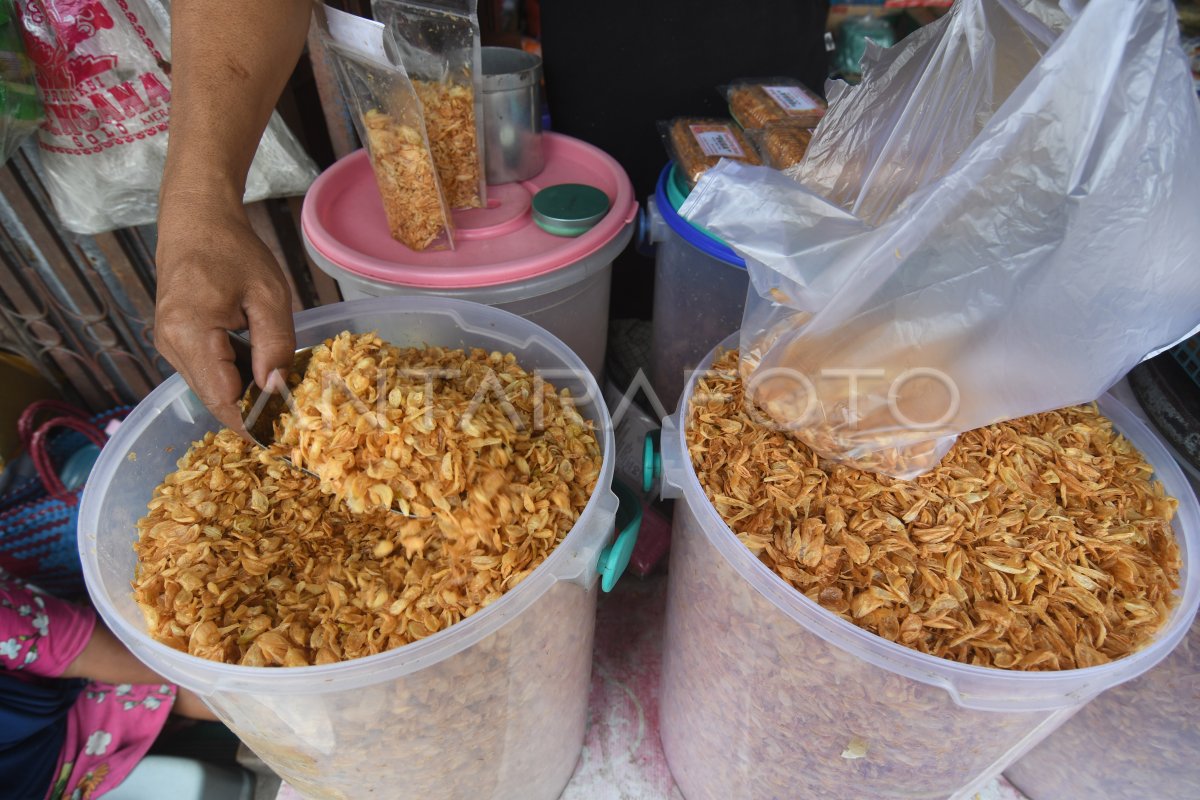 RESPONSABILITÉ CORAL PALU | ANTARA Foto