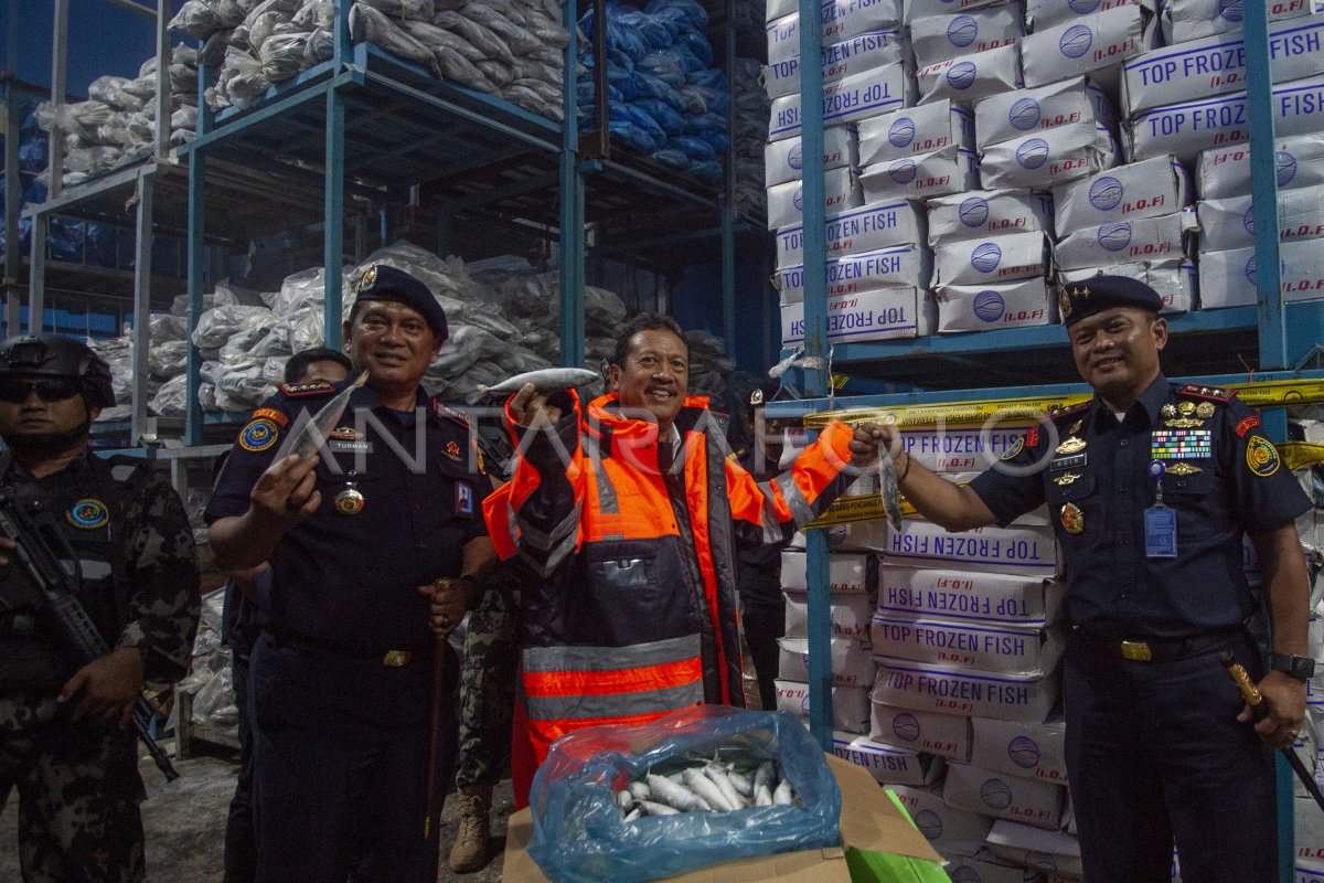 KKP stop penjualan 20 ton ikan impor di Batam
