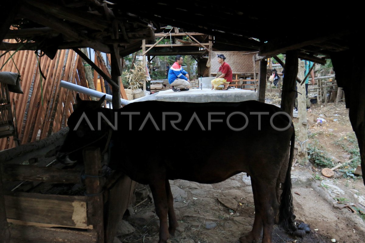 Pengembangan potensi daerah mitra binaan Pertamina