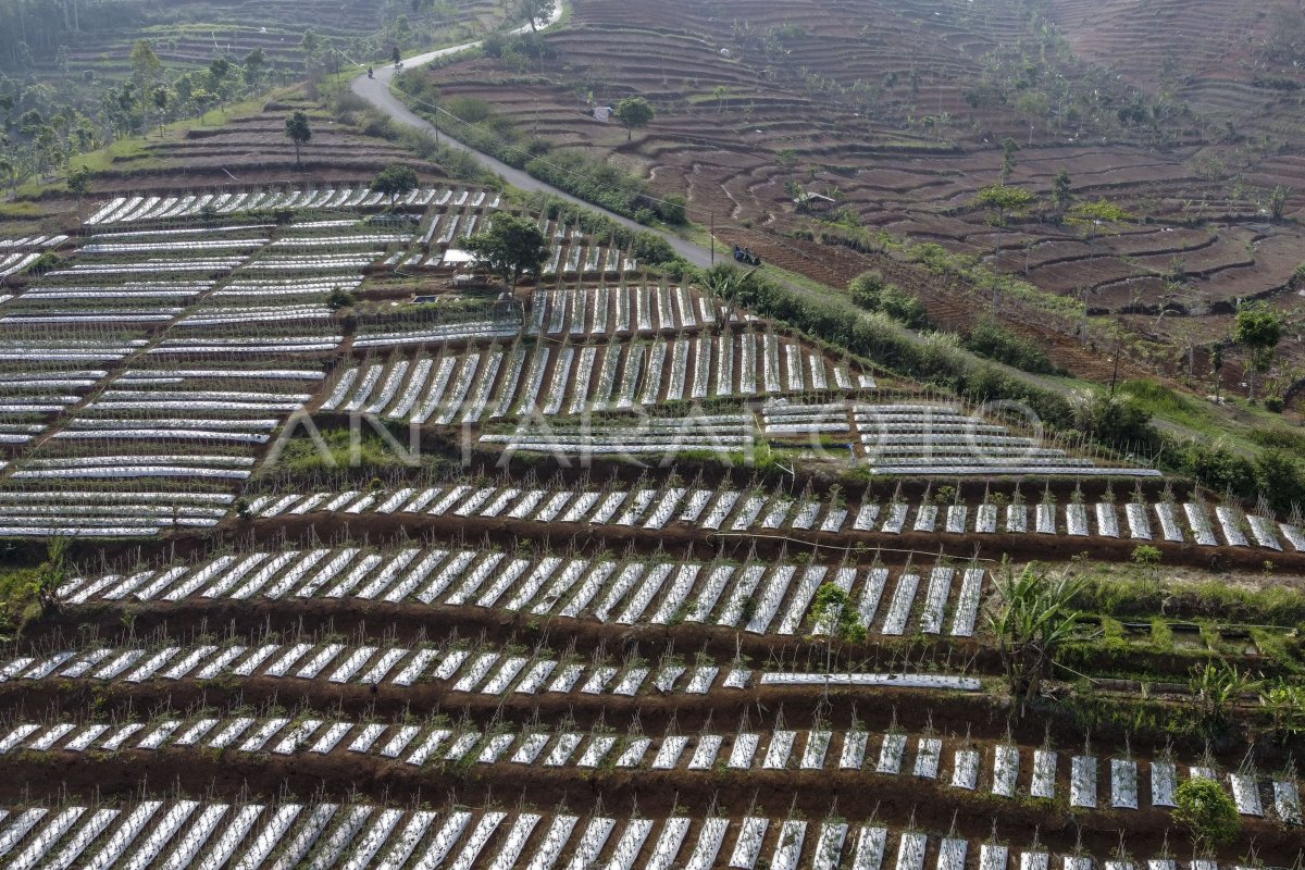 Lahan kritis di Jawa Barat