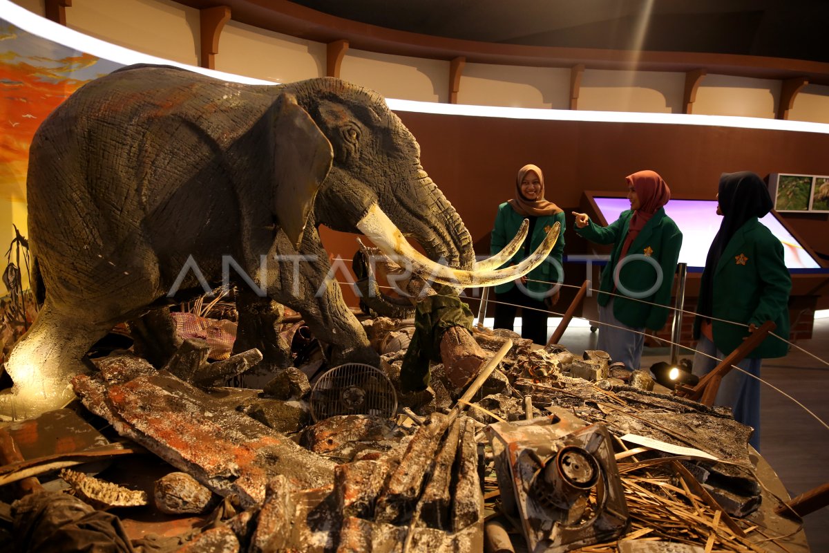 The contemporary exhibition of disaster volunteer elephants in Aceh