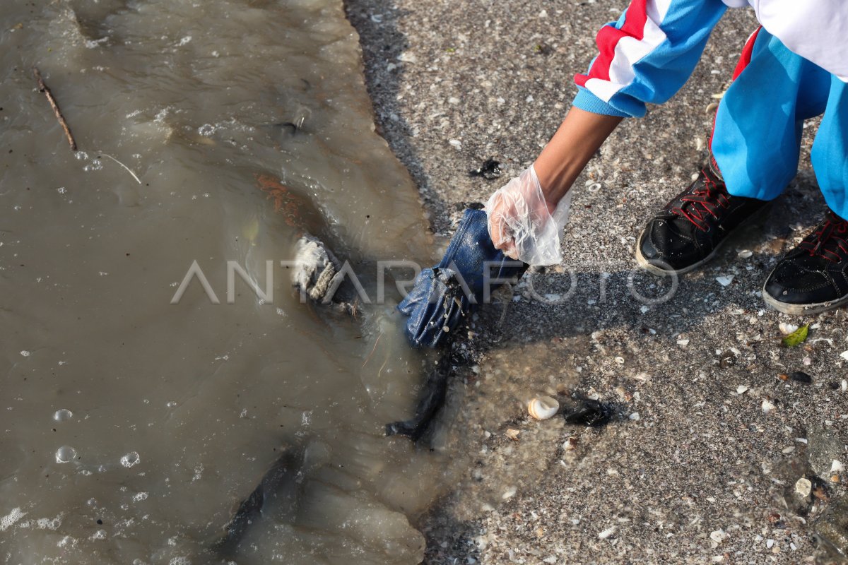 Aksi bersih Pantai Kenjeran dari sampah