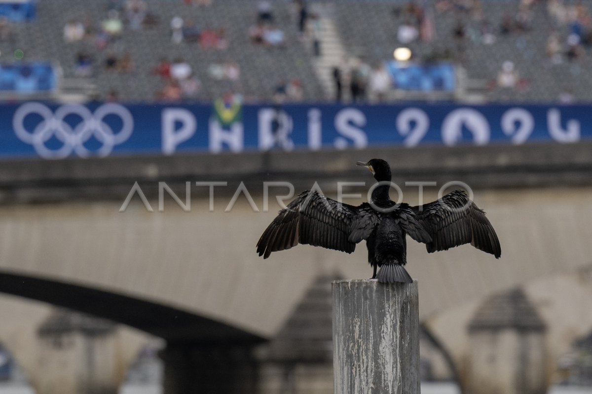 Paris Olympic Opening 2024 | ANTARA Foto