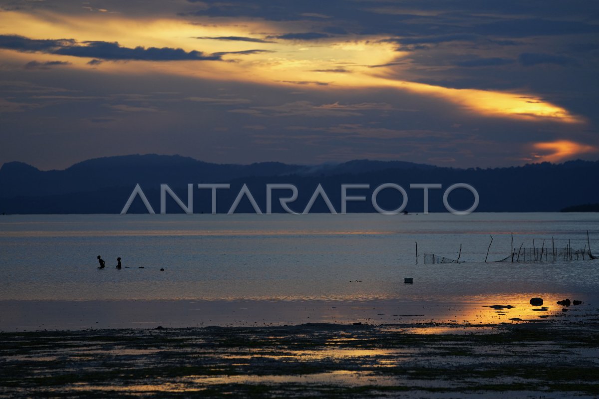 Mencari kerang laut di Teluk Kulisusu