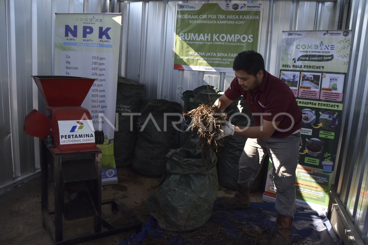 Utilisation des engrais de compost respectueux de l'environnement