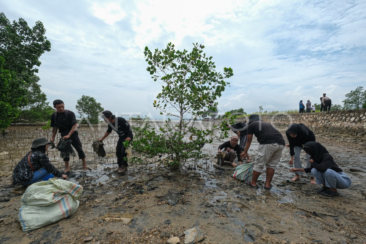Aksi bersih-bersih pantai di pesisir Konawe