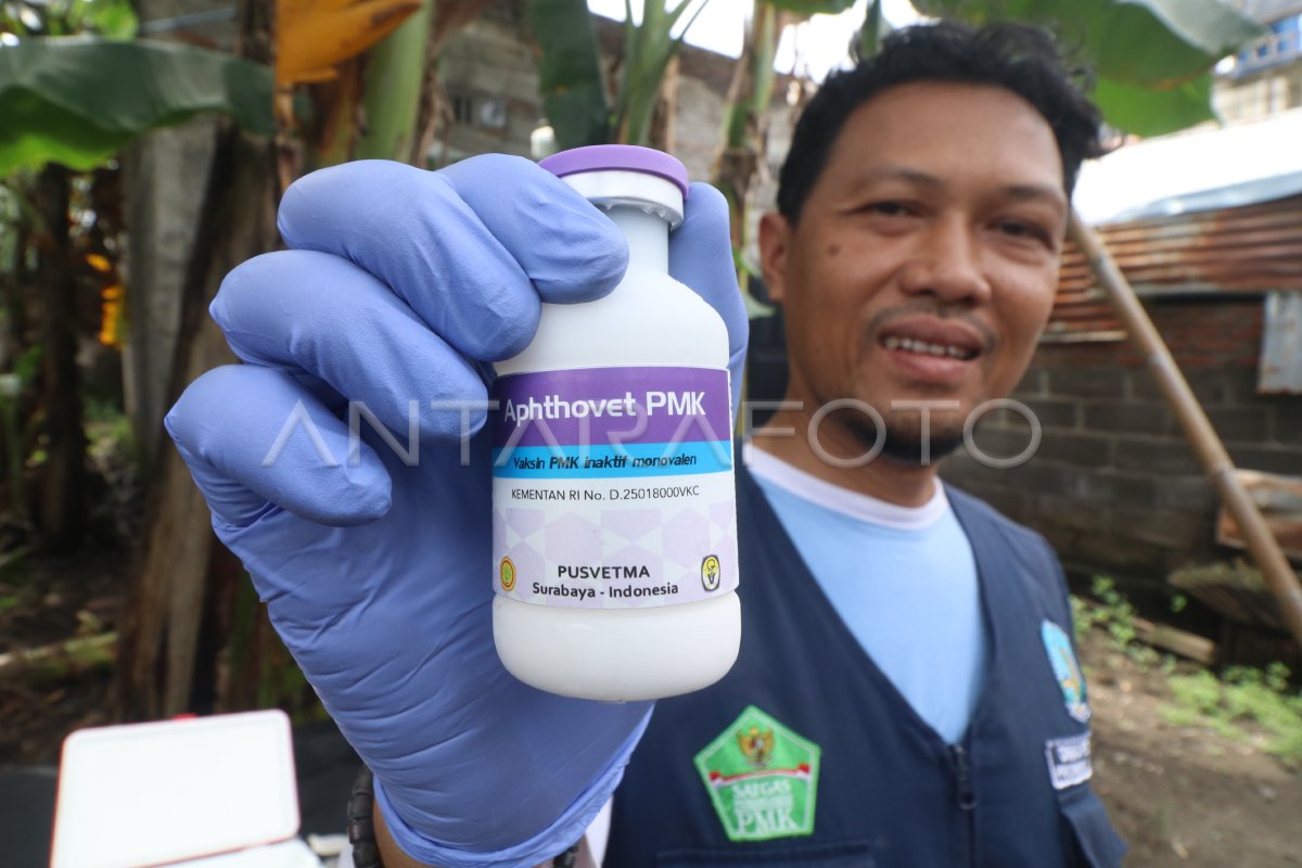 Vaksinasi PMK di Kota Kediri