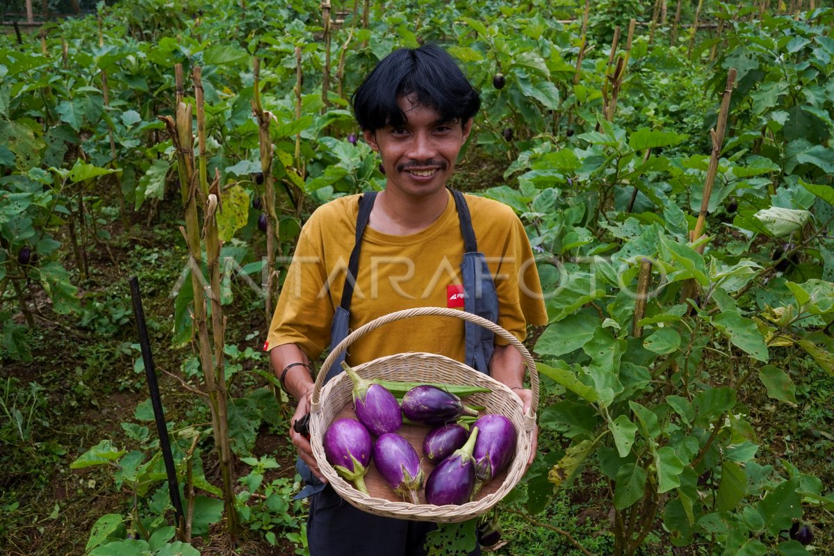 Sekolah petani untuk generasi muda di Maros