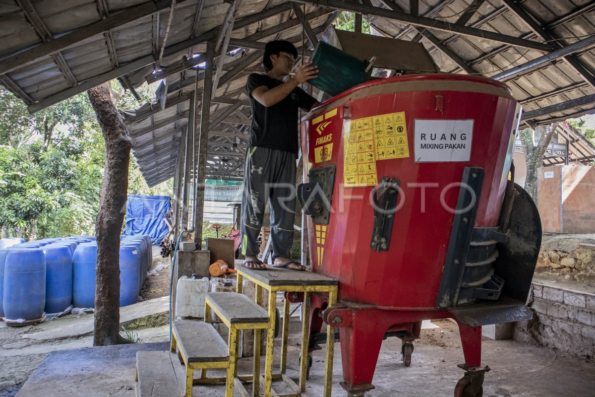 Peternakan modern di Kabupaten Bandung Barat