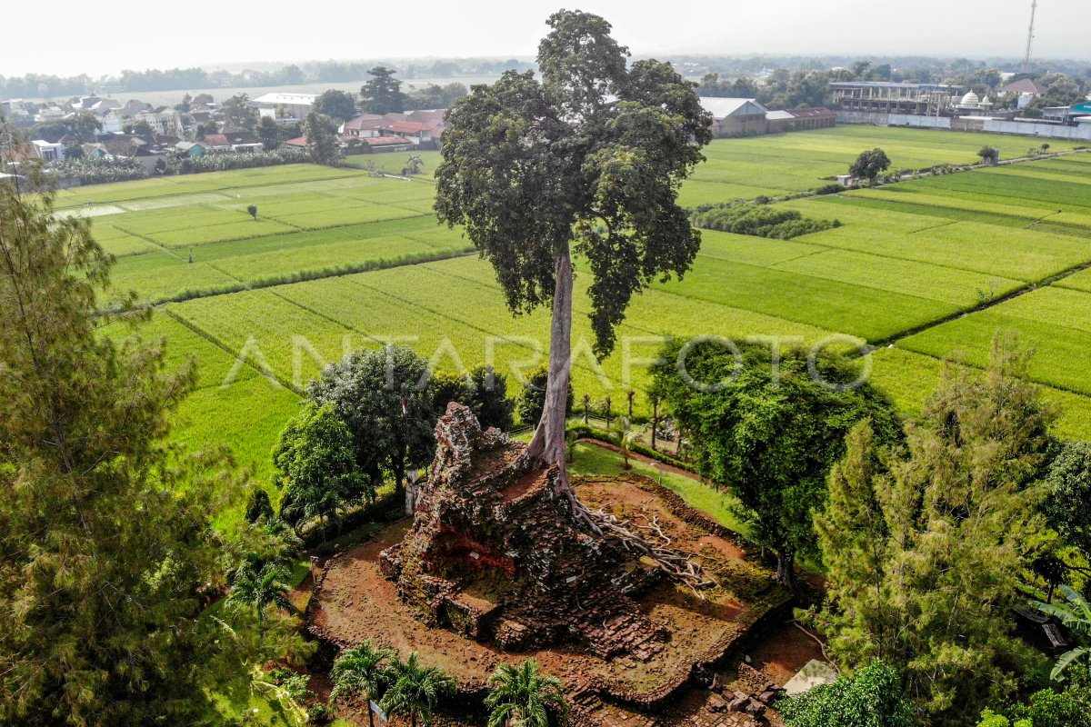 Yalangoch Lourdes fotosurati