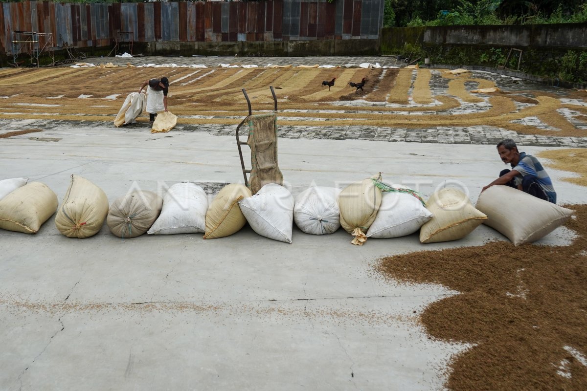Target serapan gabah dan beras Bulog Sulselbar
