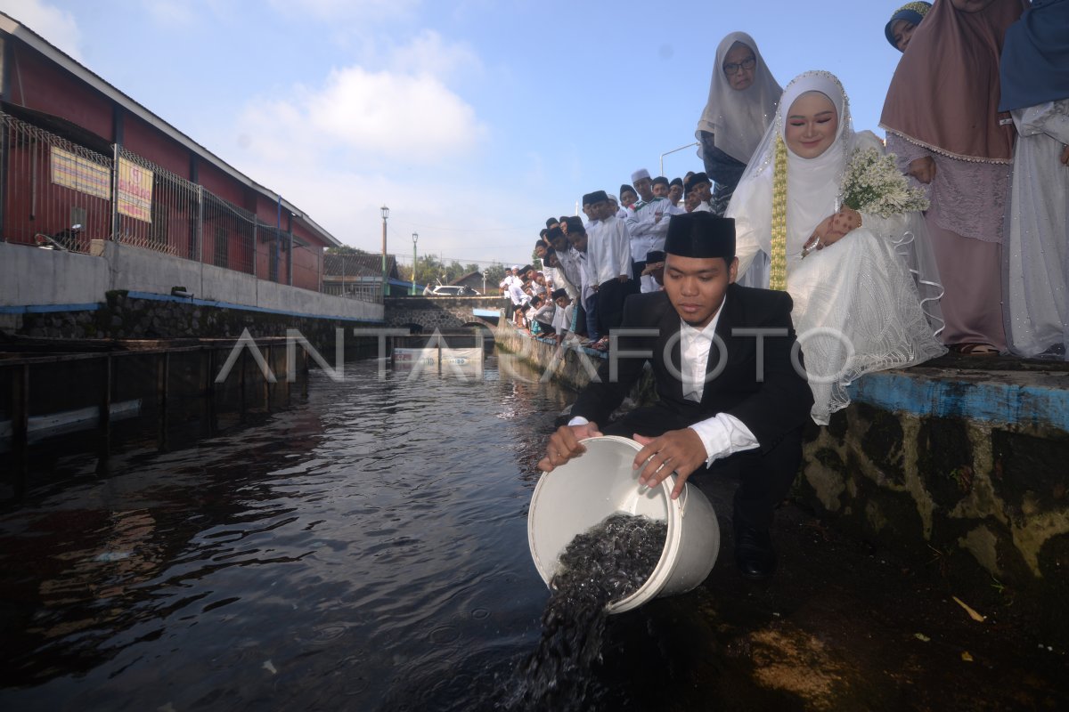 Pasangan pengantin menebar bibit ikan di sungai