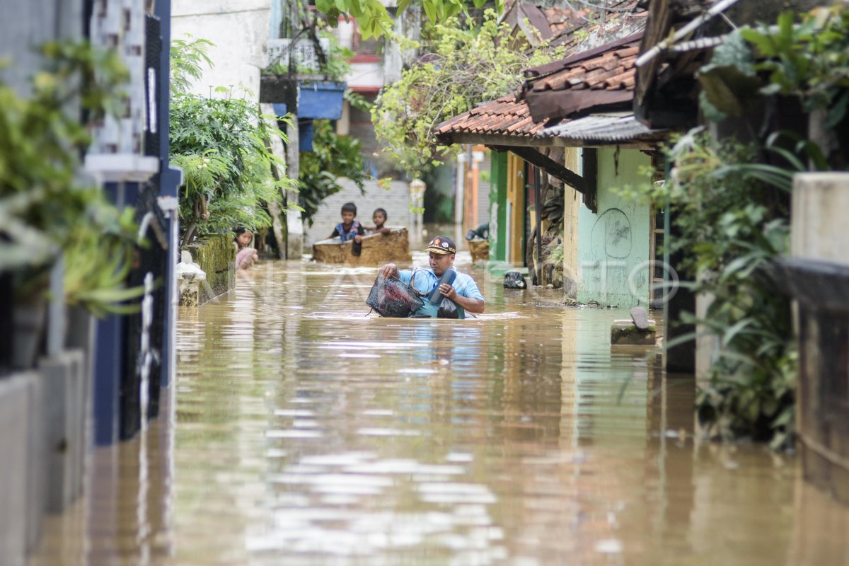 Flood Back Lace South Bandung