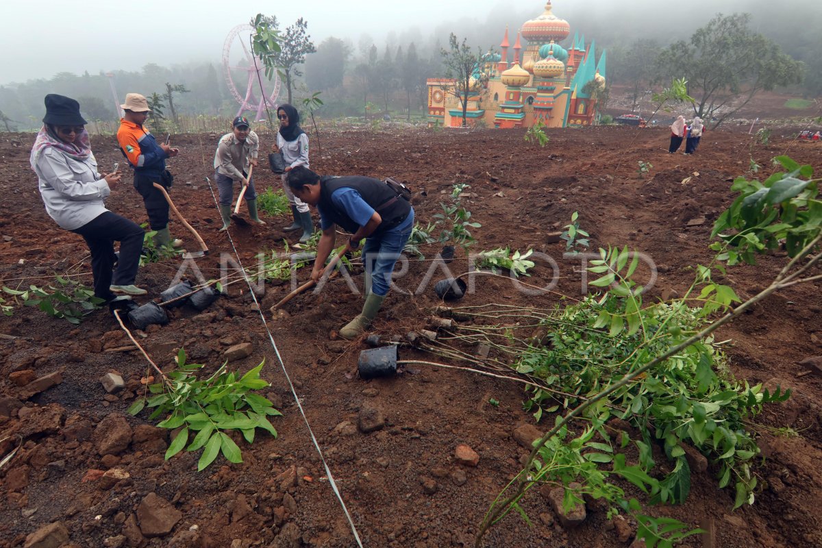 Penanaman pohon di kawasan Hibisc Fantasy Puncak Bogor