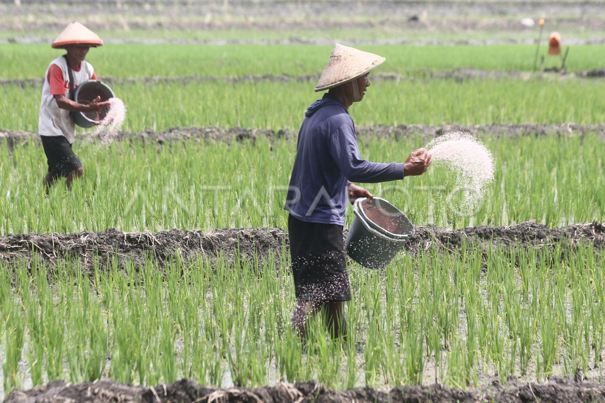 Subsidiary Jatim fertilizer allocation