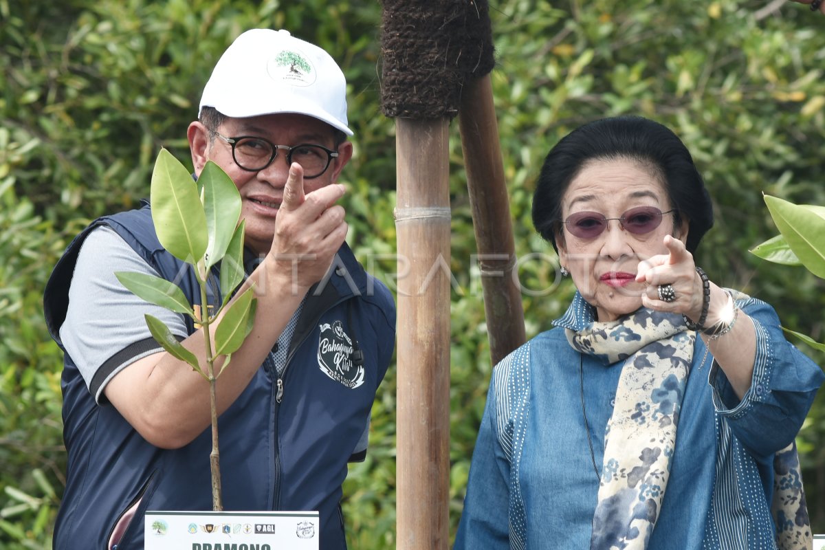 Governor of DKI Jakarta planted mangrove in North Jakarta