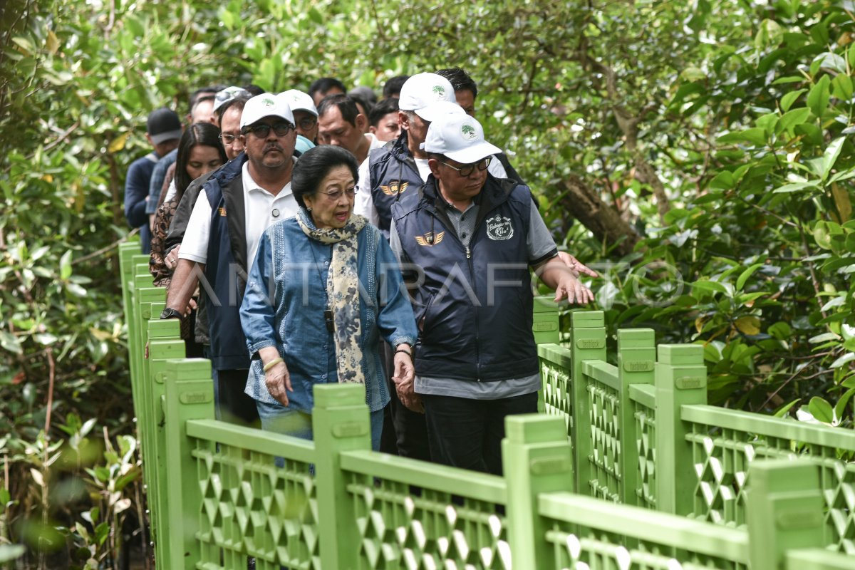 Governor of DKI Jakarta planted mangrove in North Jakarta