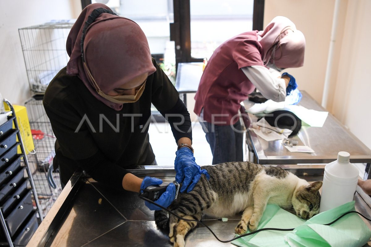 Peringatan Hari Dokter Hewan Sedunia di Samarinda