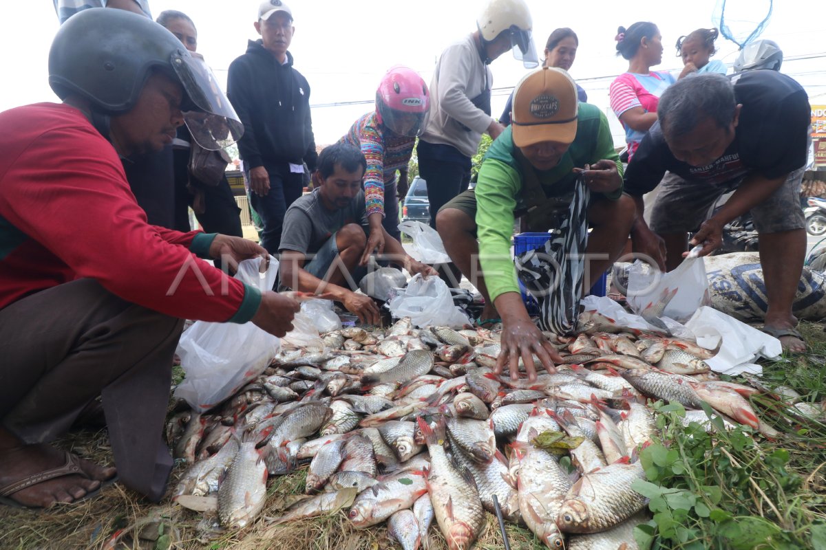 Penjualan ikan hasil tradisi pladu di Kediri