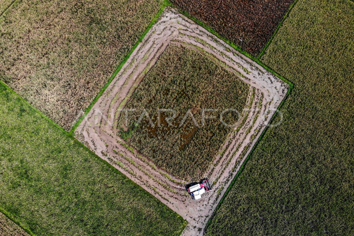 Capaian rice terrace Bulog Jatim