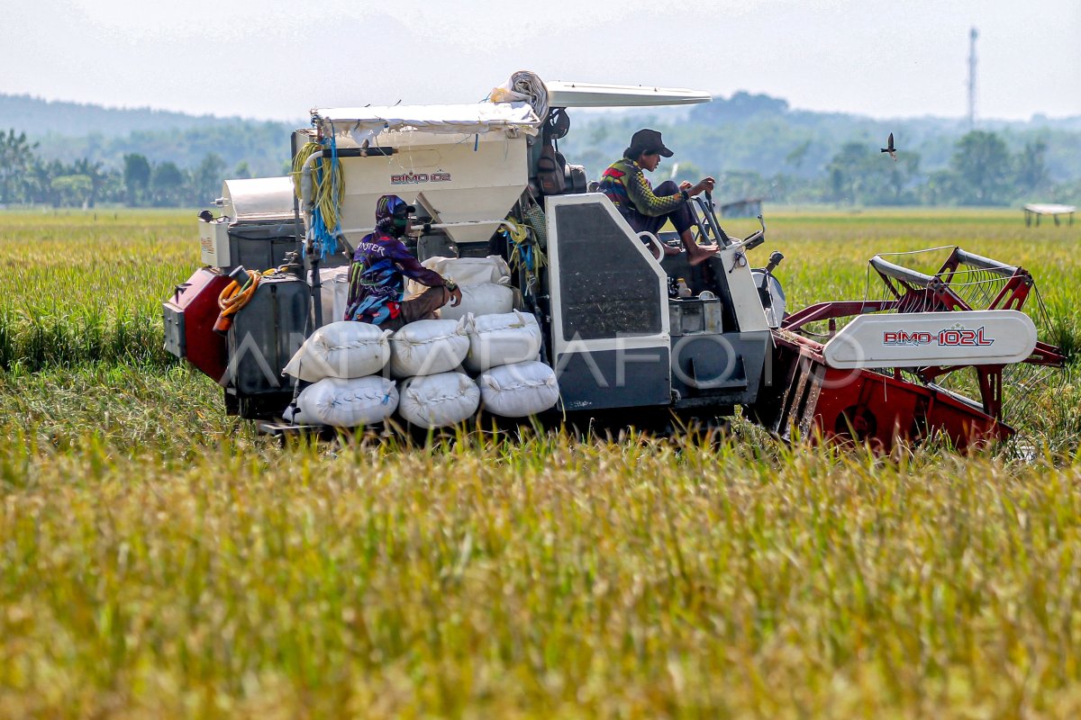 Capaian rice terrace Bulog Jatim