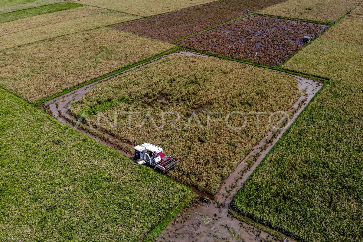 Capaian rice terrace Bulog Jatim