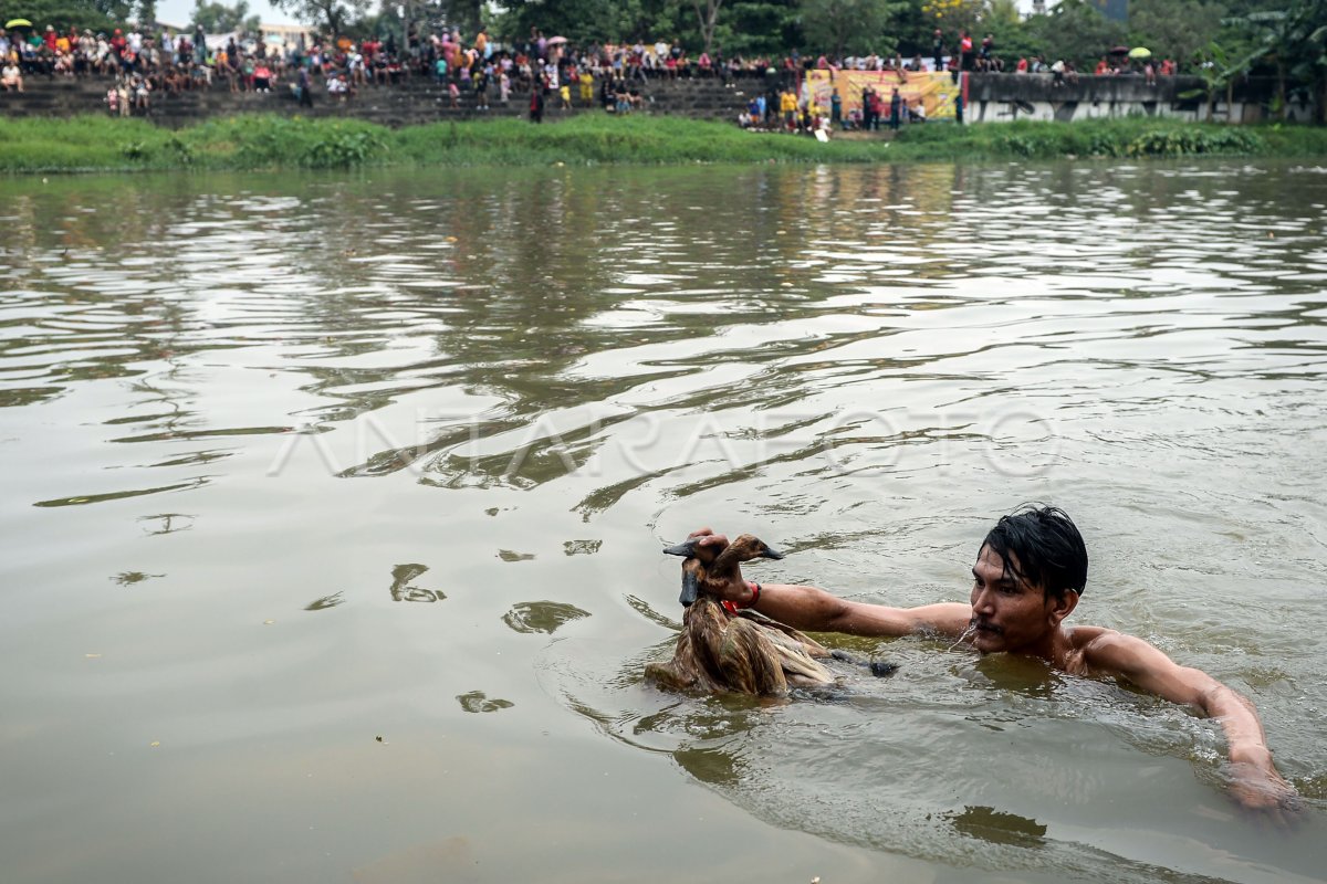 Tradisi lomba tangkap bebek