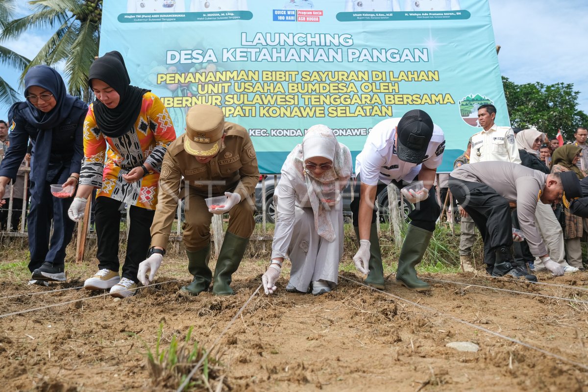 Peluncuran desa ketahanan pangan di Konawe Selatan