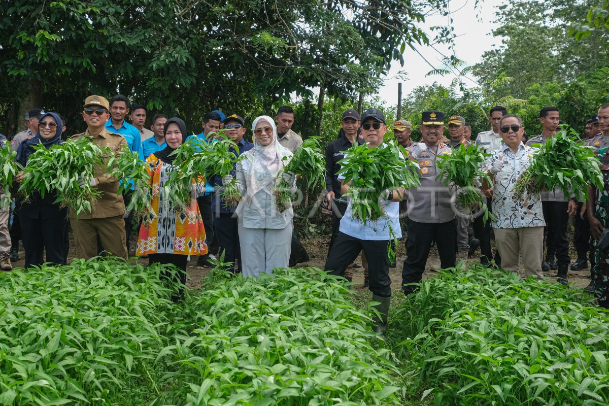 Peluncuran desa ketahanan pangan di Konawe Selatan