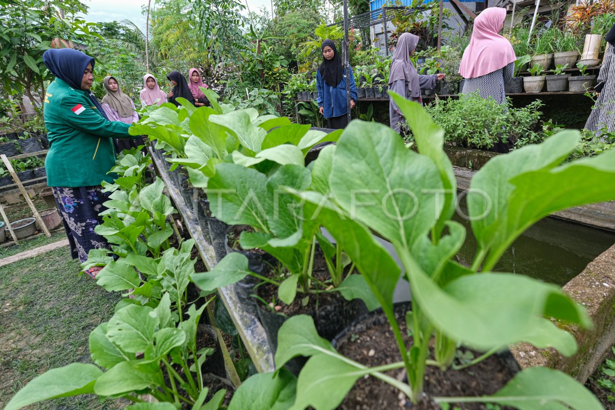 Penerapan pertanian perkotaan di Kendari