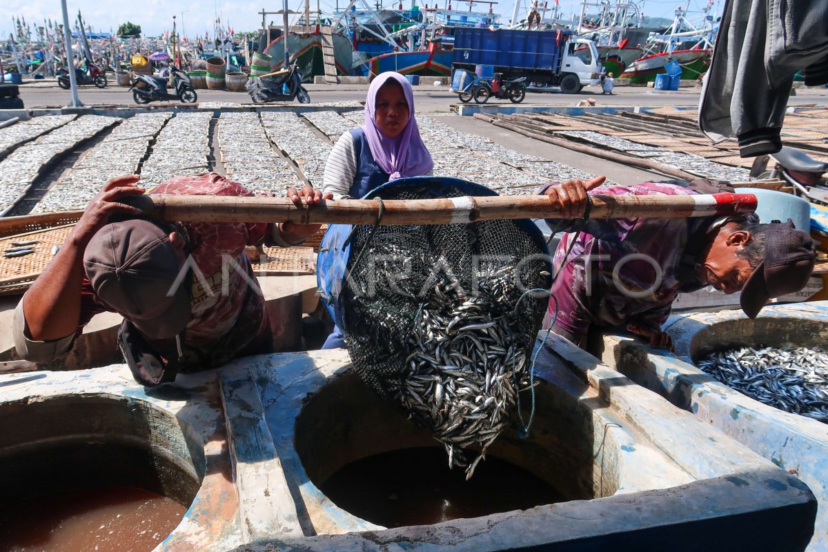 Industri pengolahan ikan asin kesulitan bahan baku