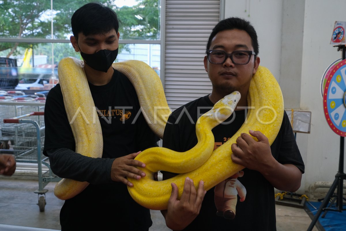 Pameran hewan peliharaan di Kendari