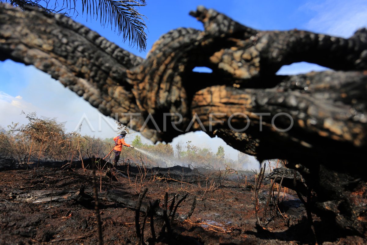 Karhutla in West Aceh