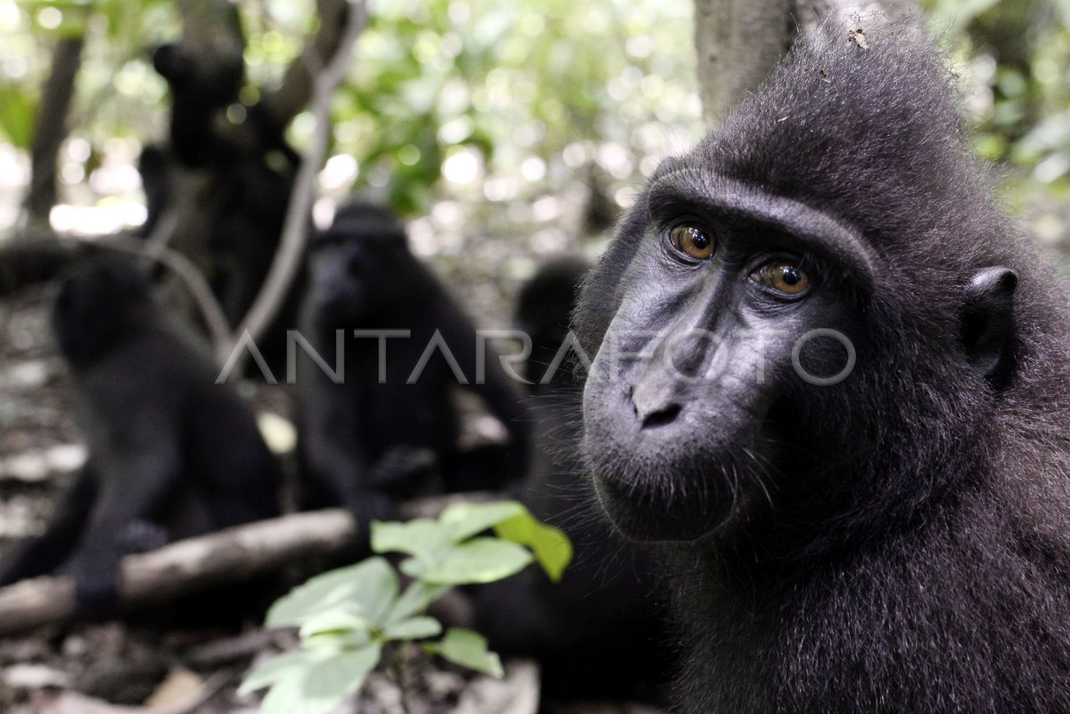 Kir yuvish mashinasida hammomdagi jinsiy aloqa pozitsiyalari