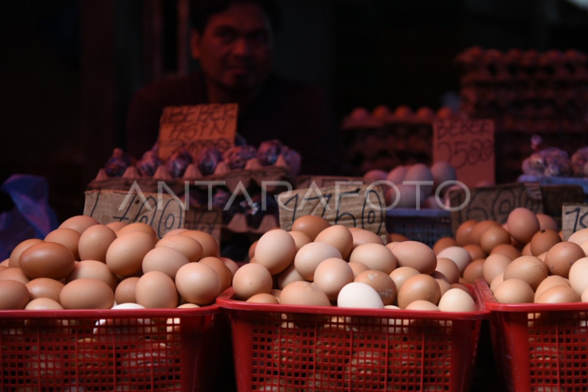 Harga telur ayam melonjak di Medan