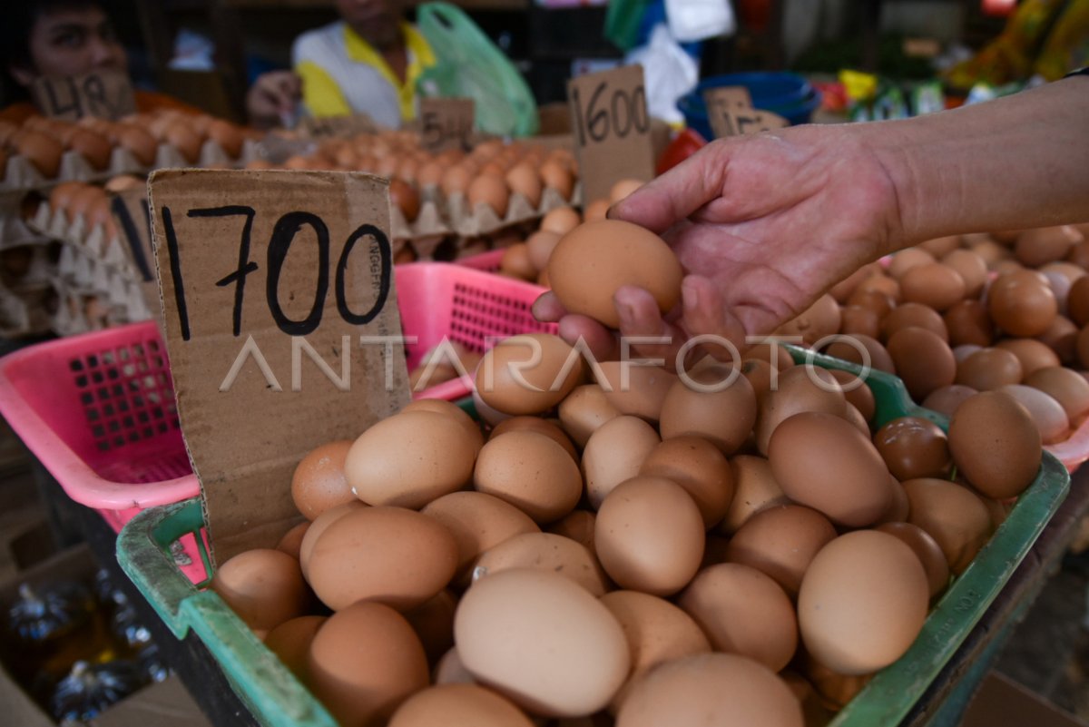Harga telur ayam melonjak di Medan