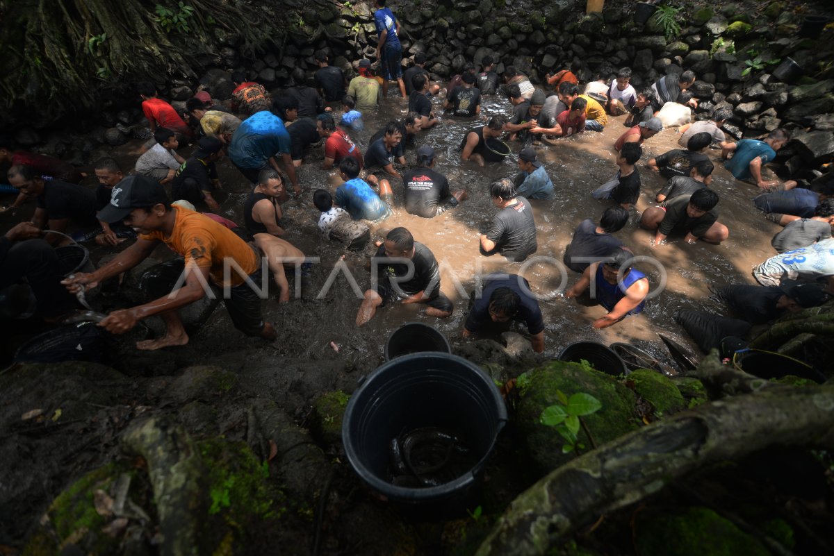 Tradisi nawu Sendang Gotan di Klaten