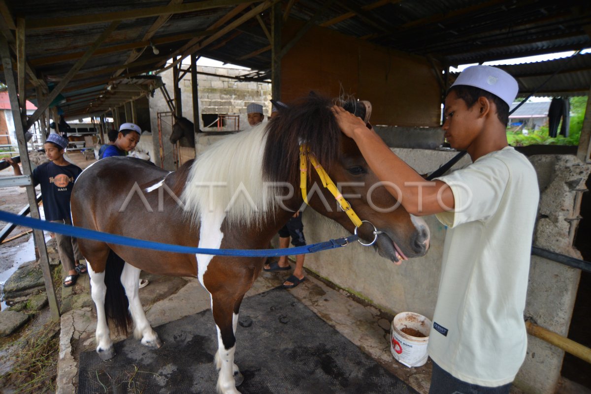 Aktivitas khidmat kuda ponpes di Padang
