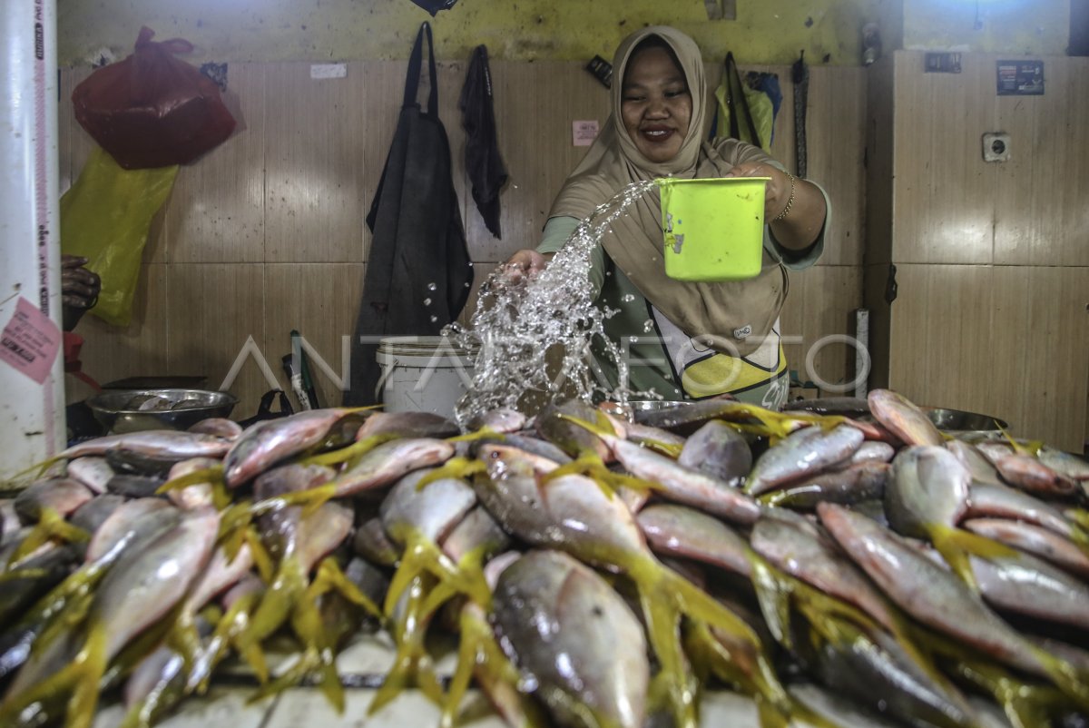 Realisasi kredit program sektor kelautan dan perikanan triwulan I 2025
