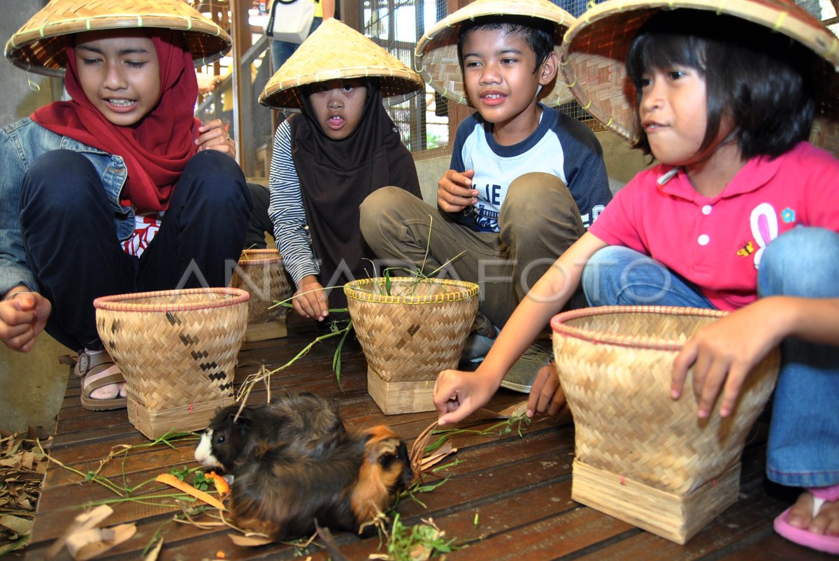Menjelajahi Dunia Tanpa Batas: Wisata Difabel yang Inovatif dan Menginspirasi