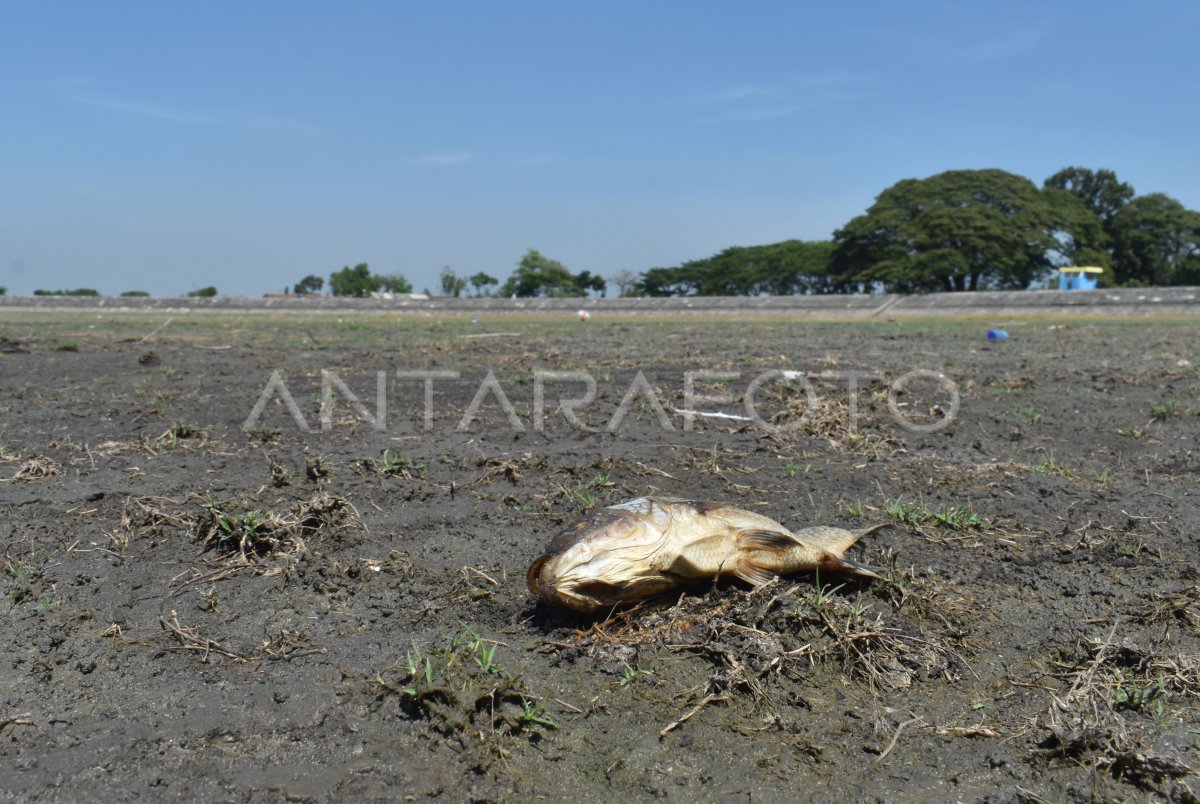 Semiz ayol jinsiy aloqa video