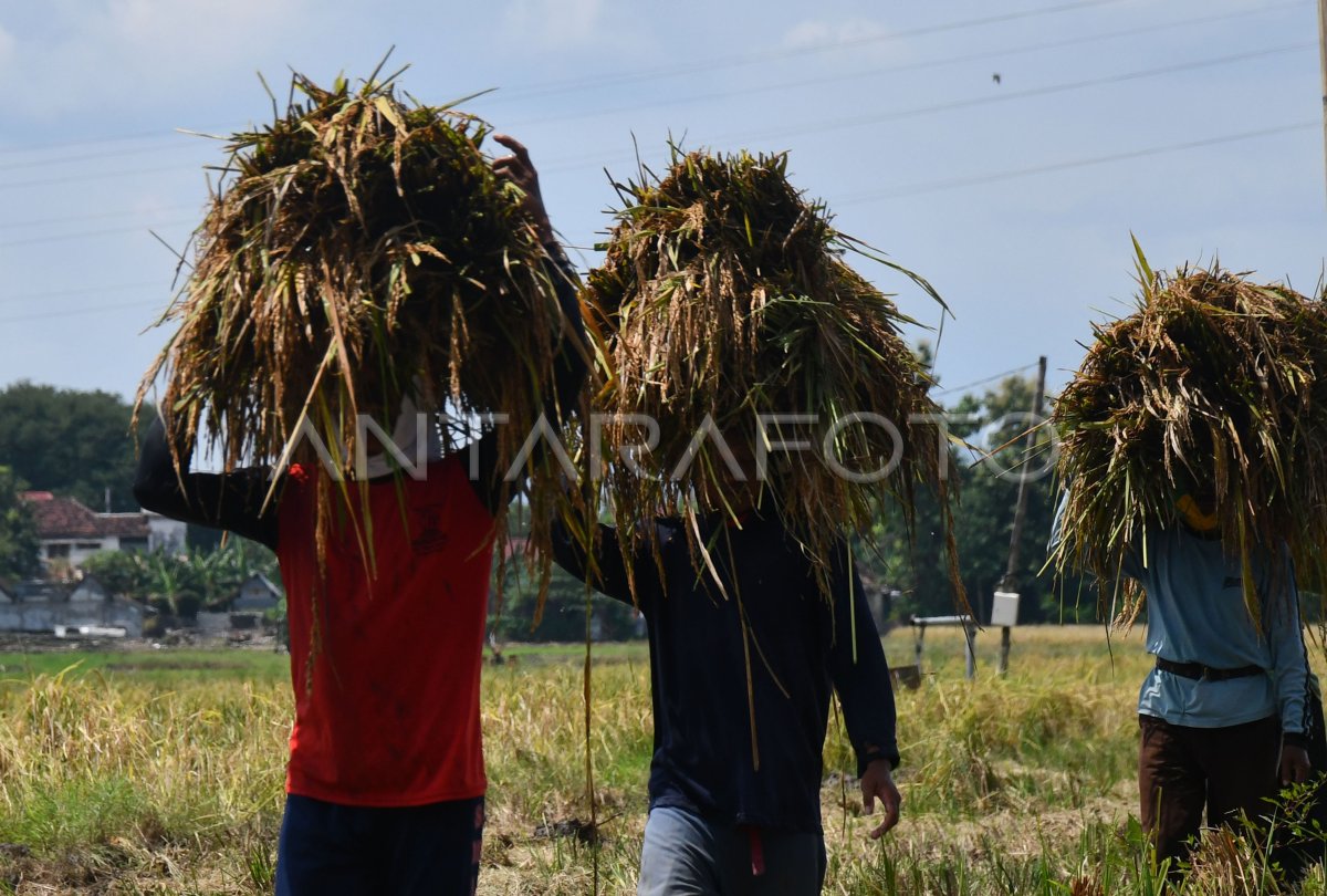 Prices drop in Madiun
